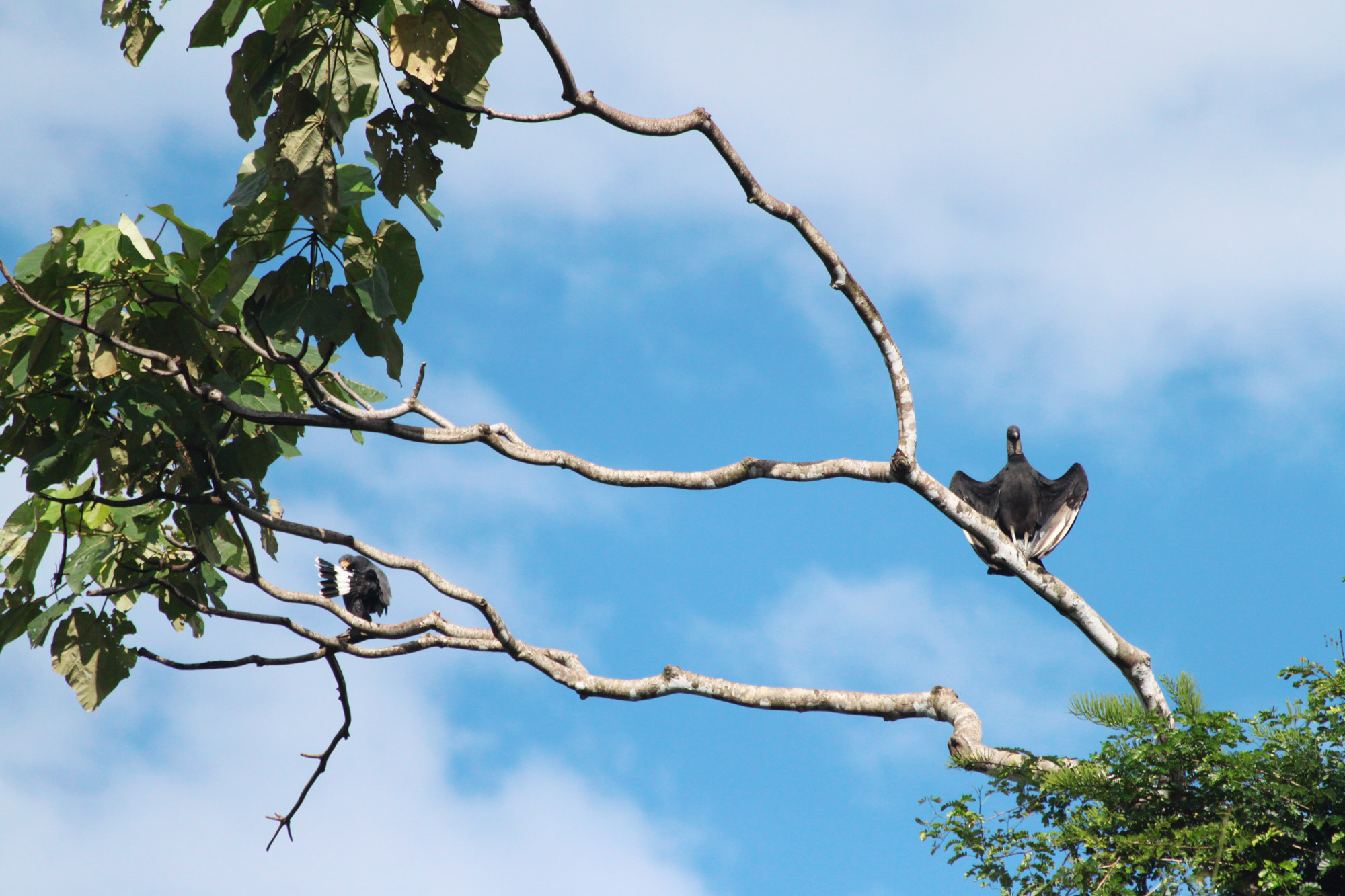 Costa Rica 2014 - dag 16 - Parque Nacional Corcovado