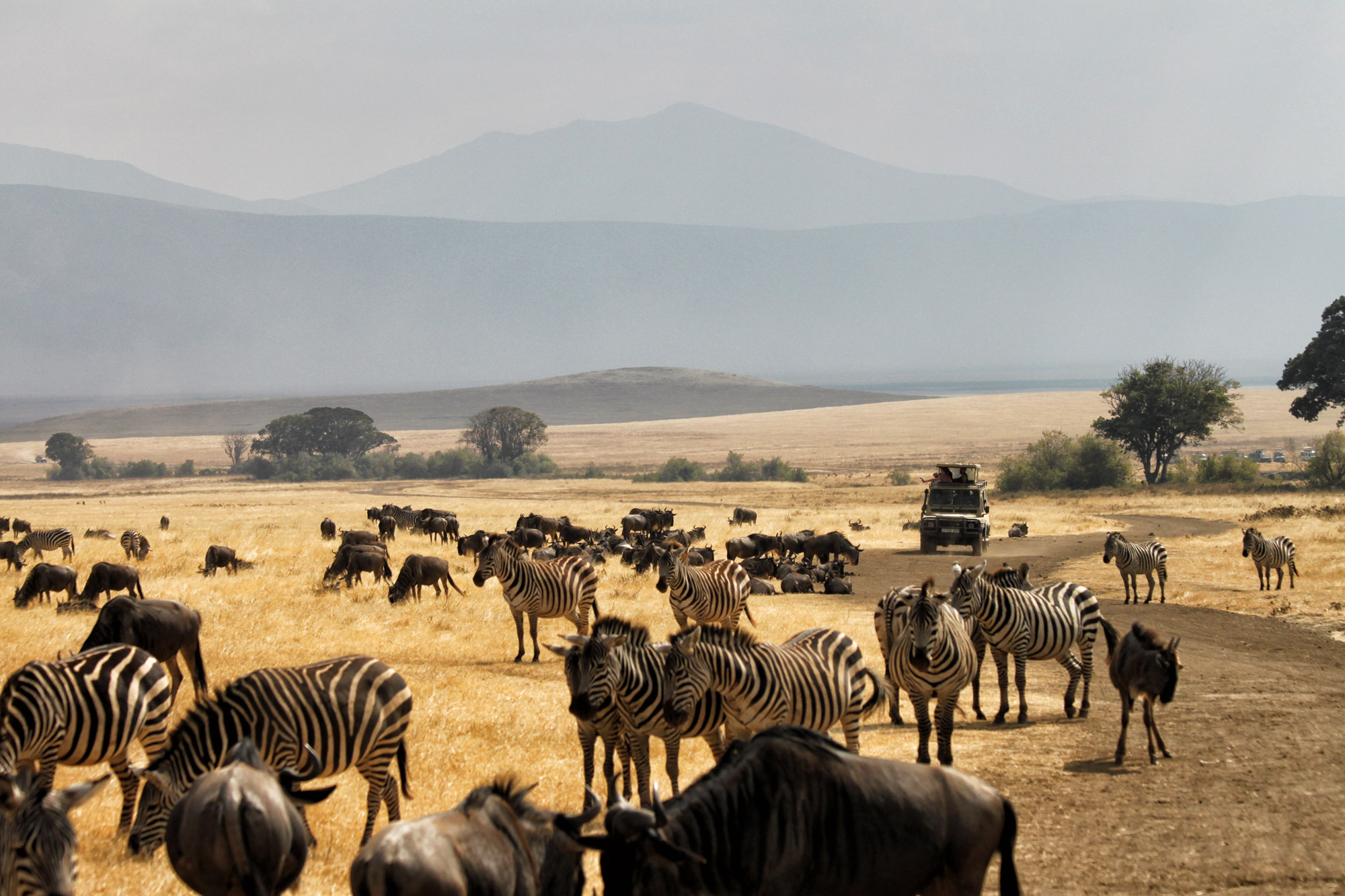 Ngorongoro krater - Tanzania