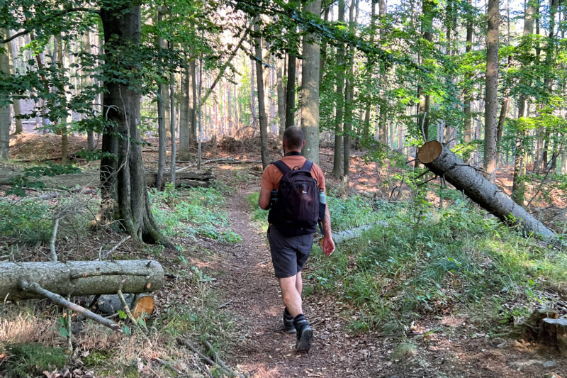 Harzer Grenzweg - Etappe: Ilsenburg - Brocken