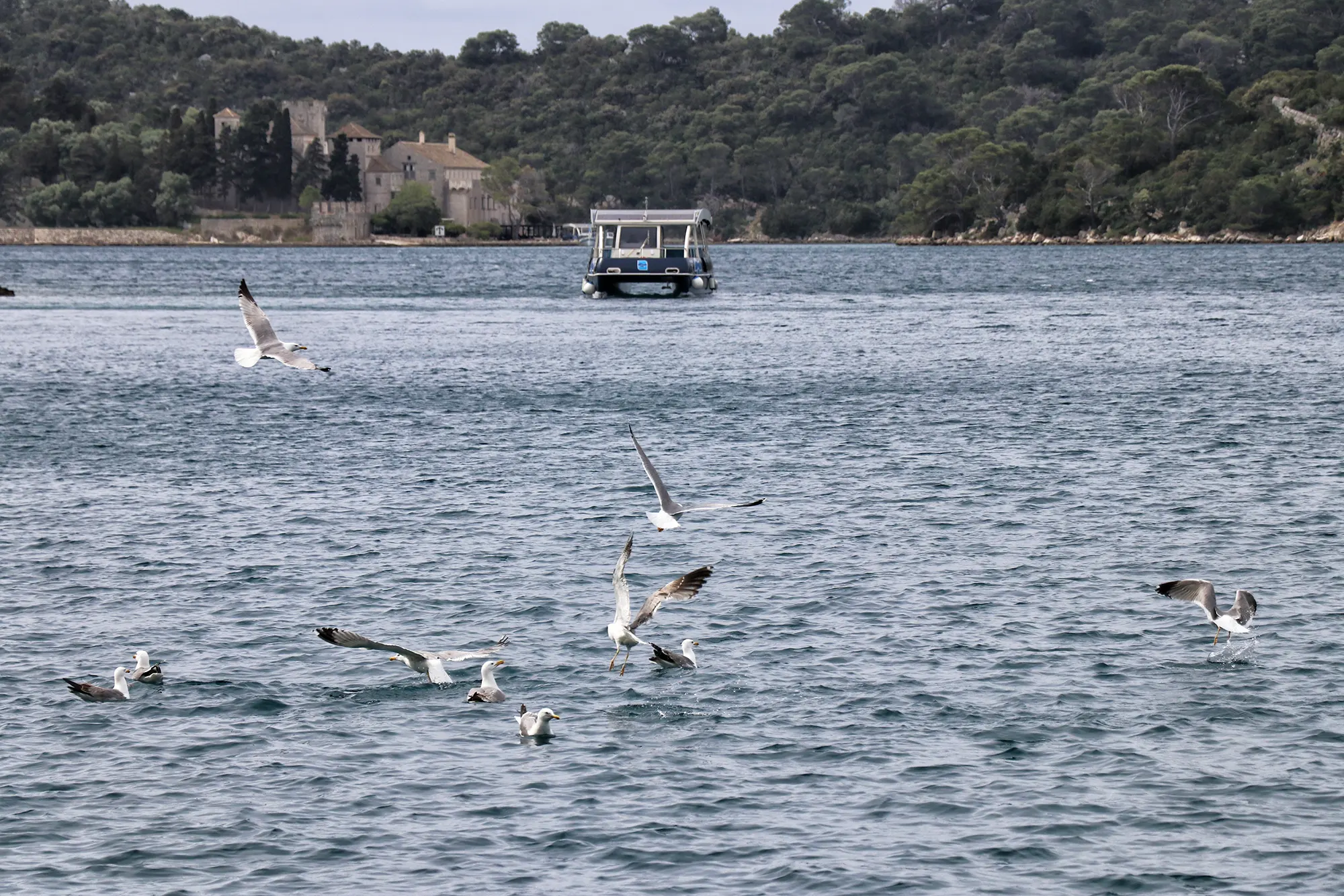 Mljet, Kroatië