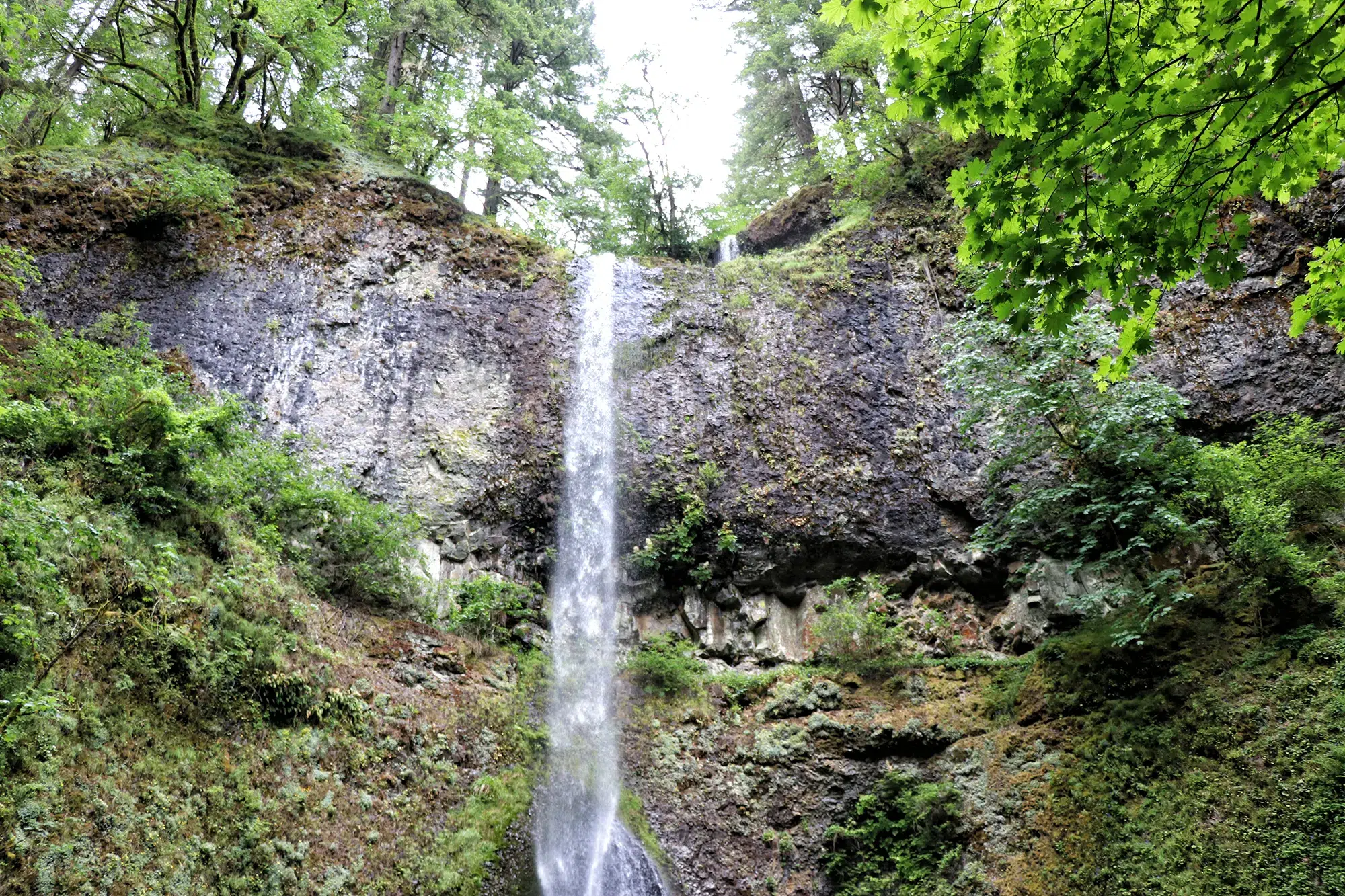 Trail of Ten Falls, Silver Falls State Park - Double Falls