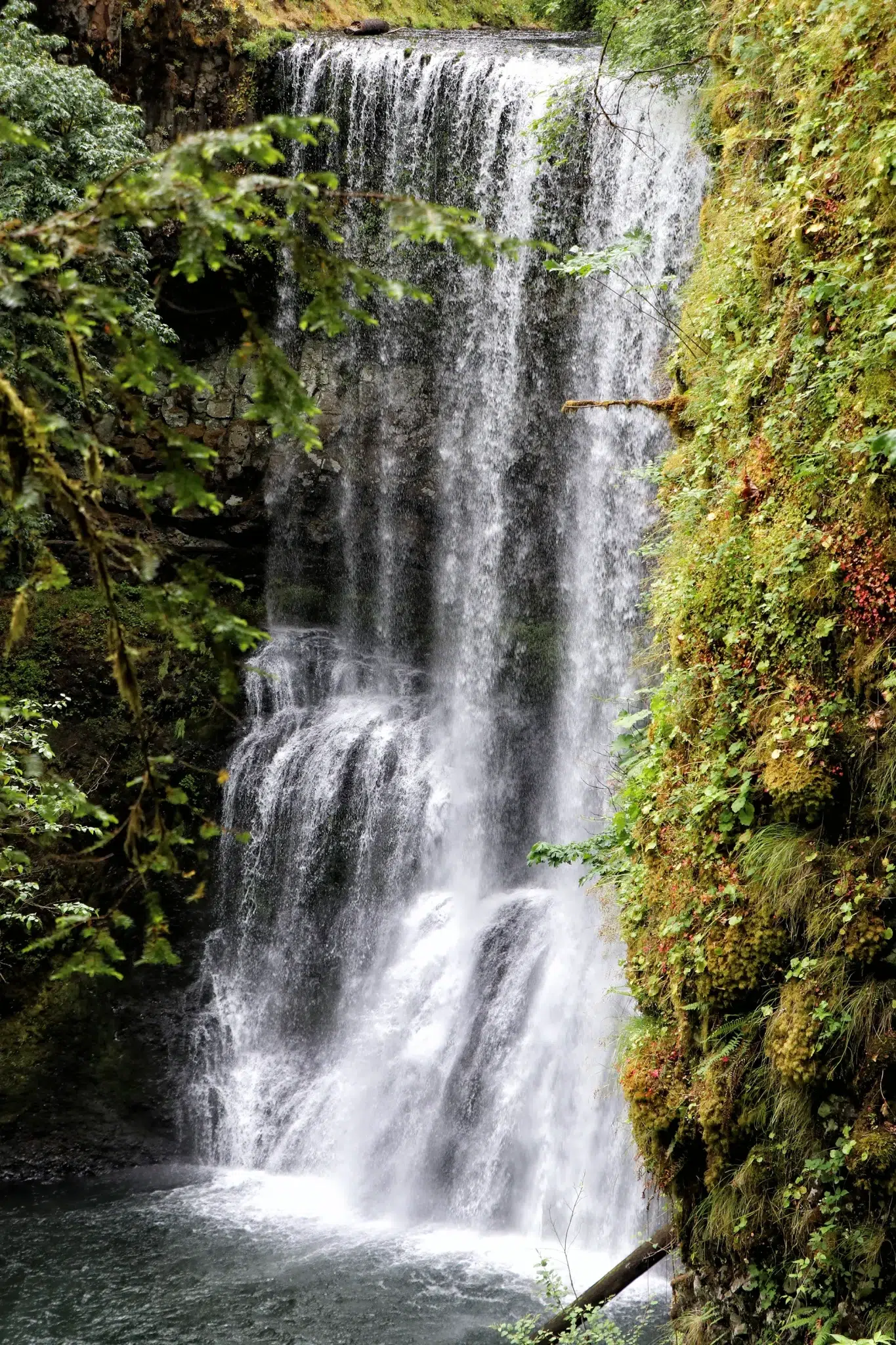 Trail of Ten Falls, Silver Falls State Park - Lower South Falls