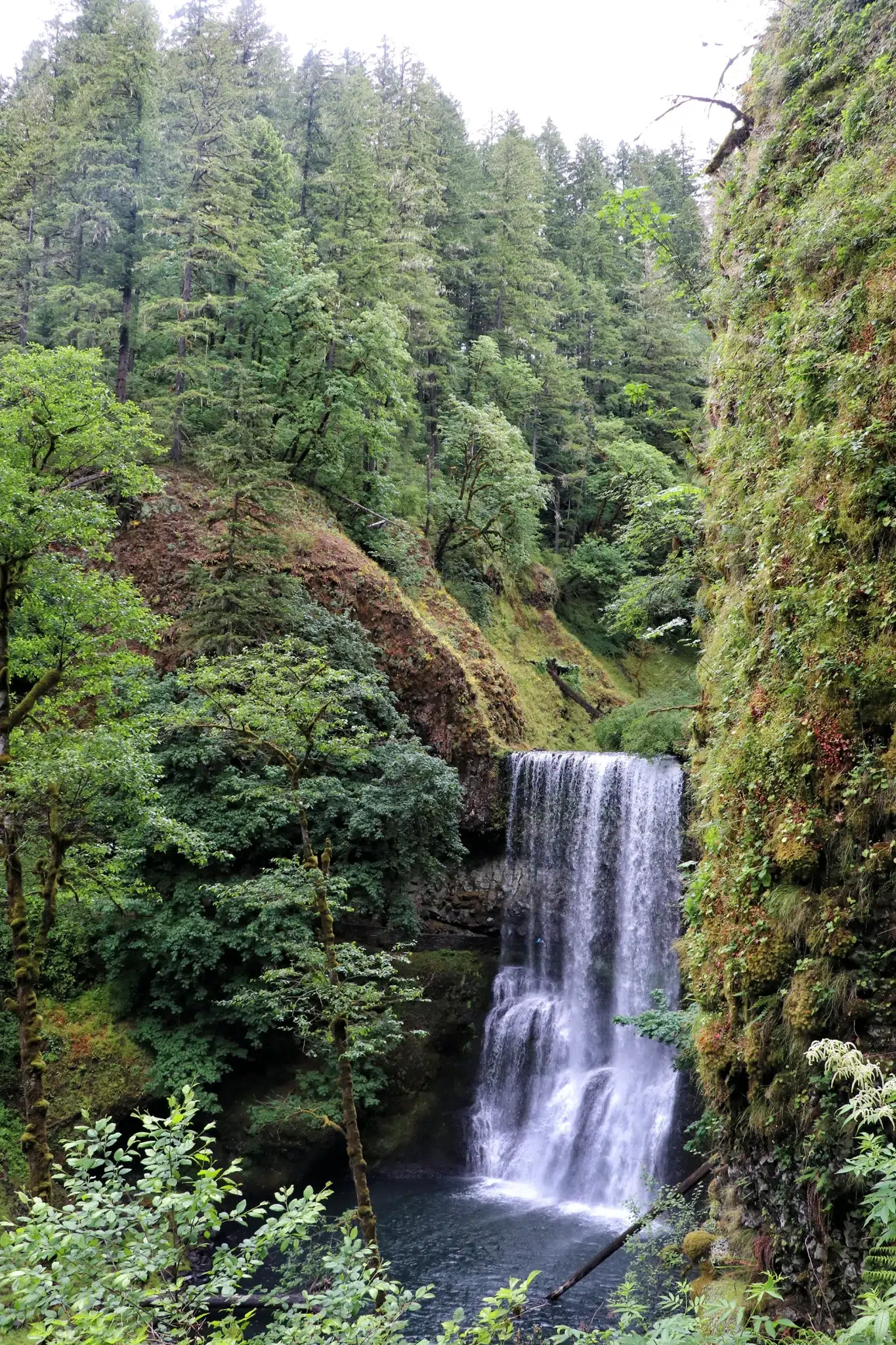 Trail of Ten Falls, Silver Falls State Park - Lower South Falls