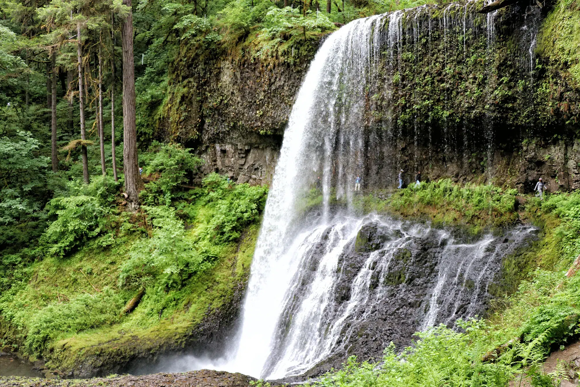 Trail of Ten Falls, Silver Falls State Park - Middle North Falls