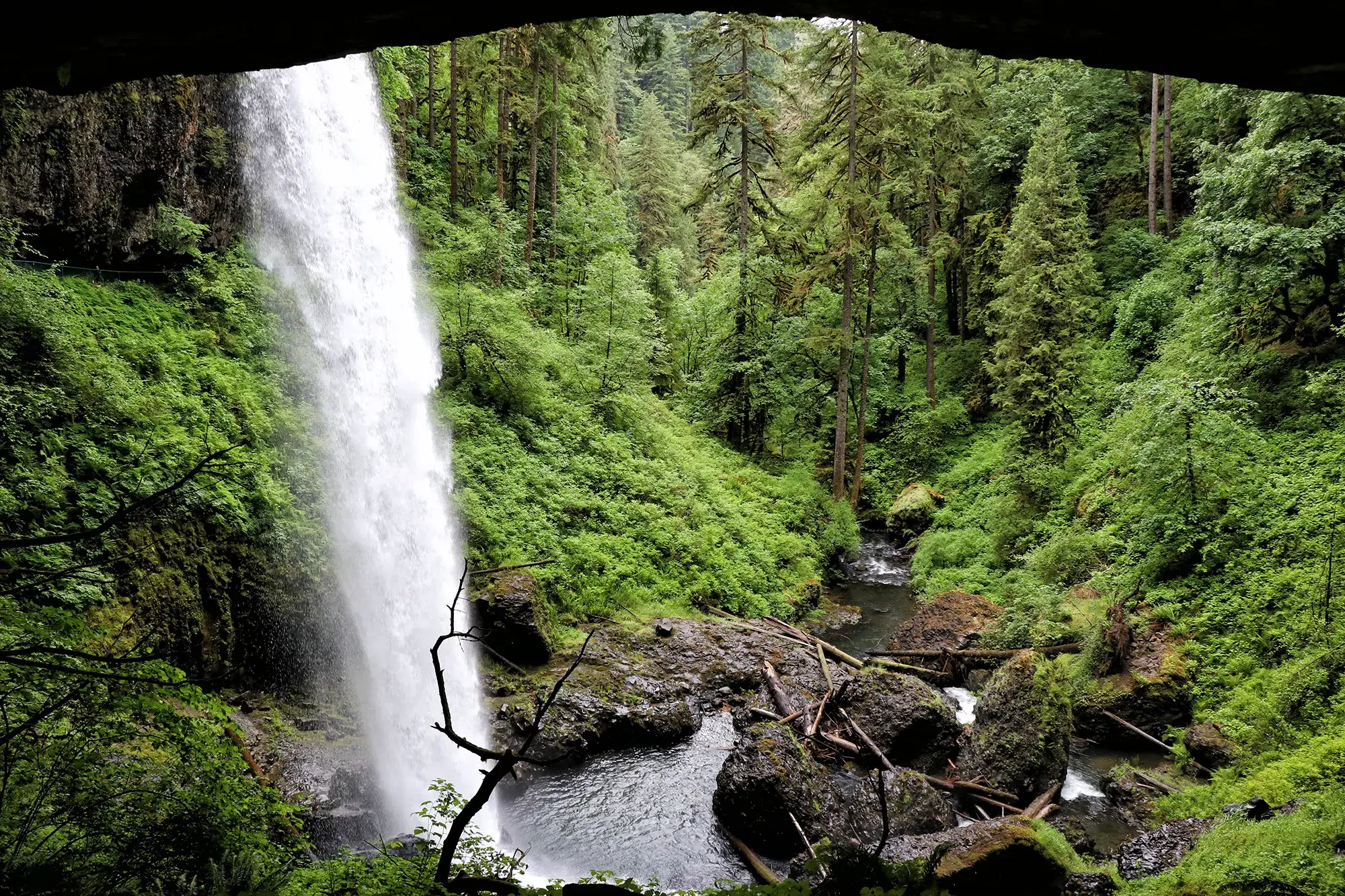 Trail of Ten Falls, Silver Falls State Park - North Falls