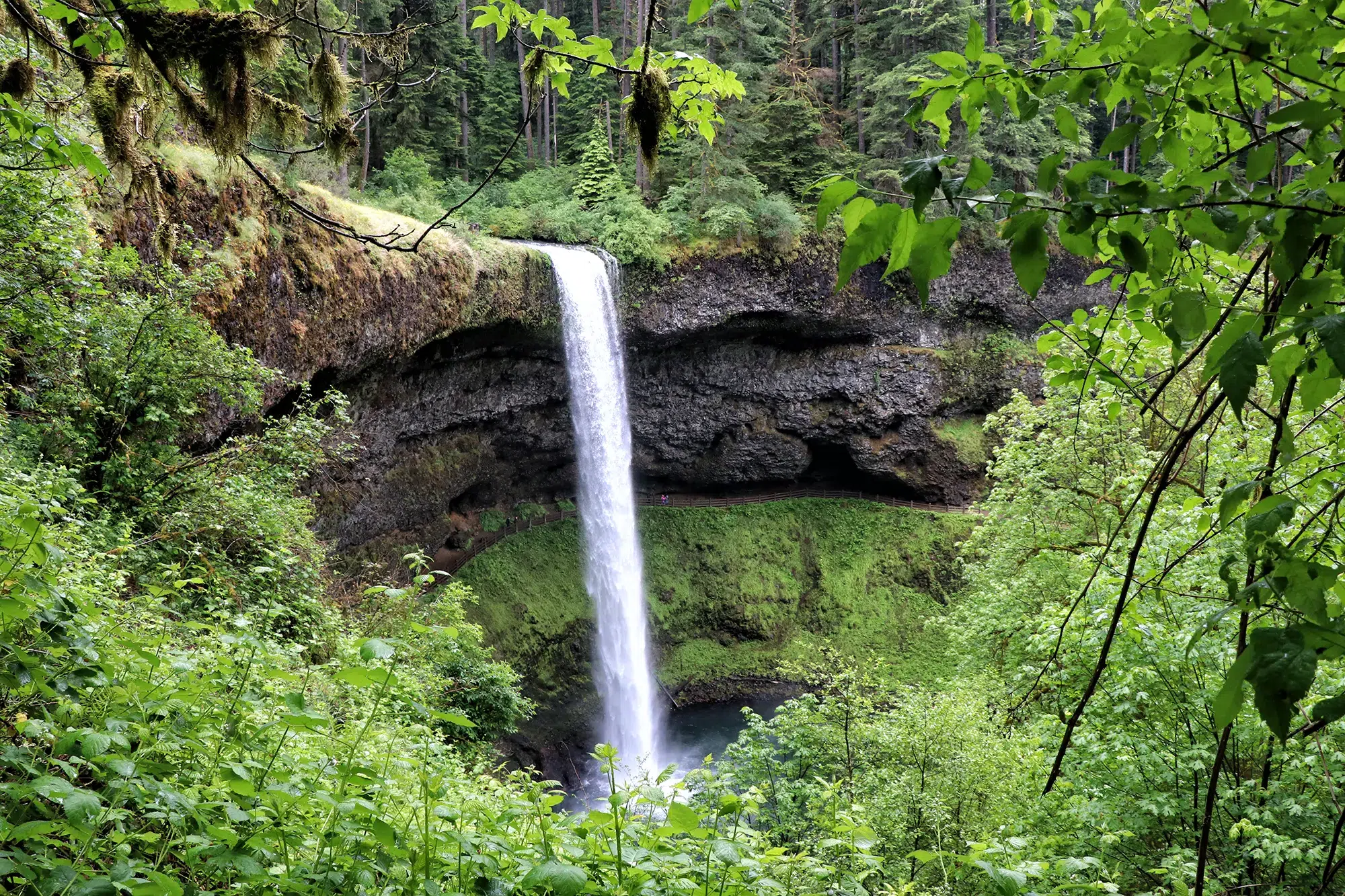 Trail of Ten Falls, Silver Falls State Park - South Falls