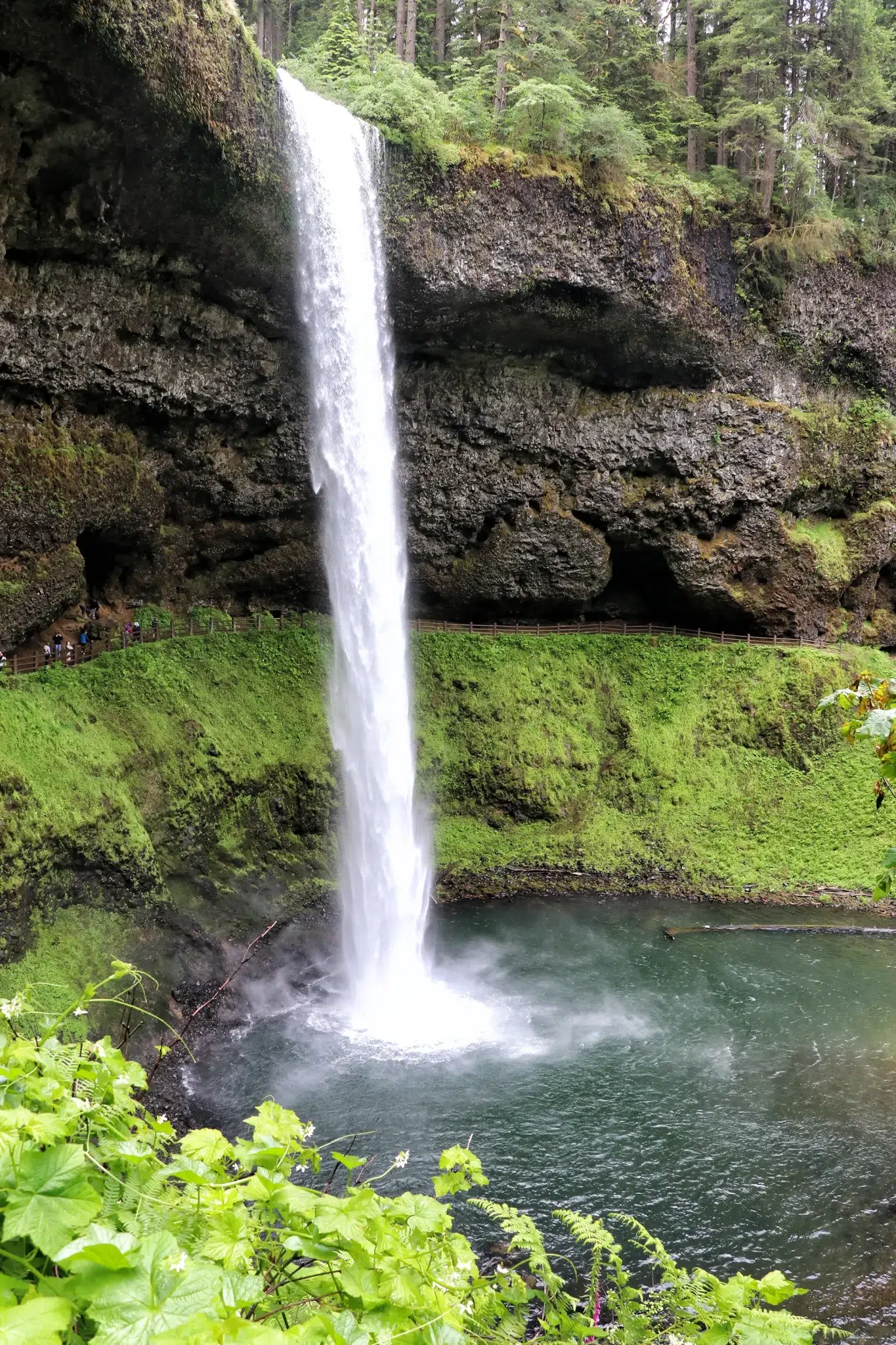 Trail of Ten Falls, Silver Falls State Park - South Falls