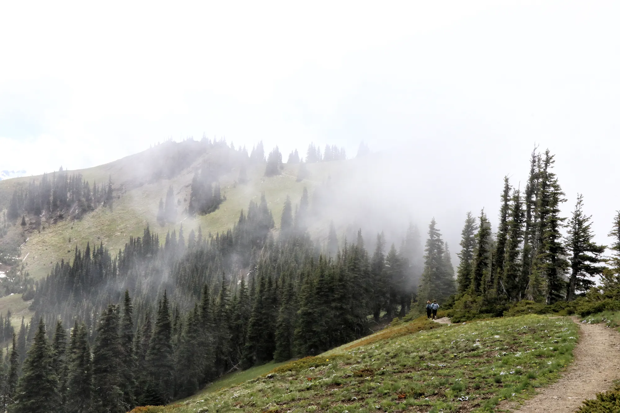 Klahhane Ridge Trail - Olympic National Park, Verenigde Staten