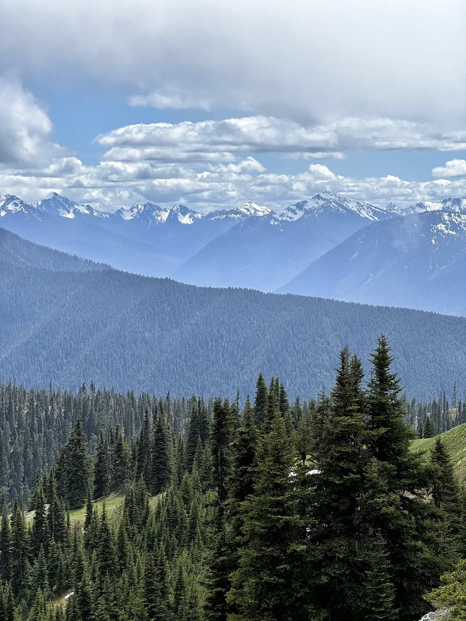 Klahhane Ridge Trail - Olympic National Park, Verenigde Staten