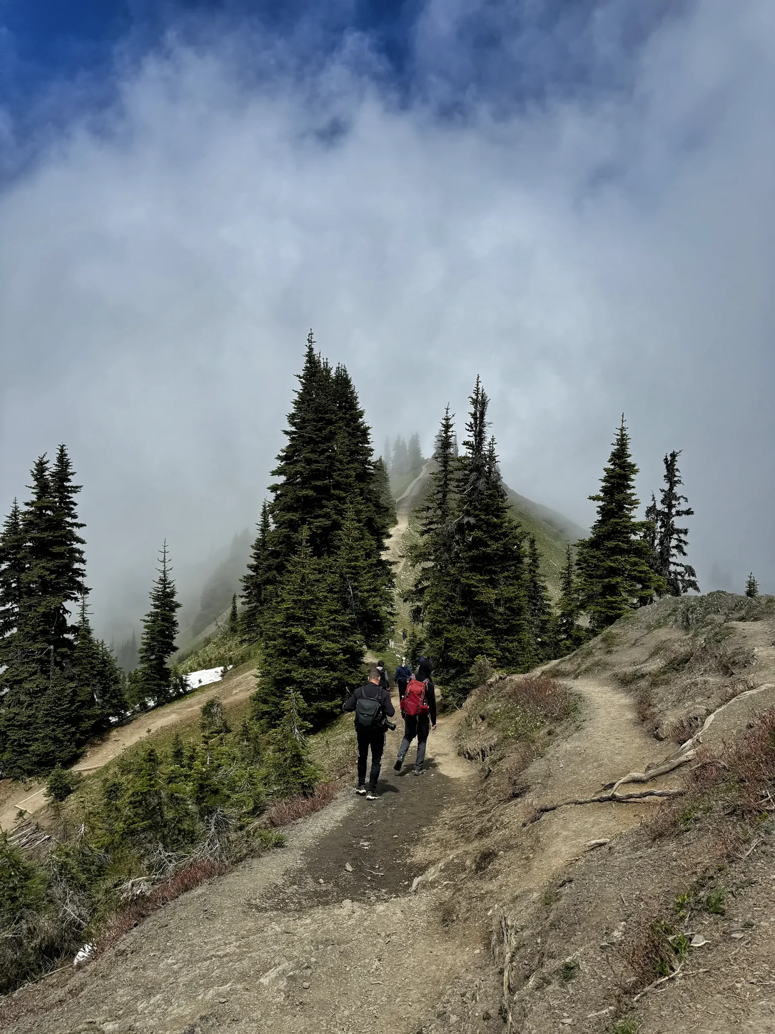 Klahhane Ridge Trail - Olympic National Park, Verenigde Staten