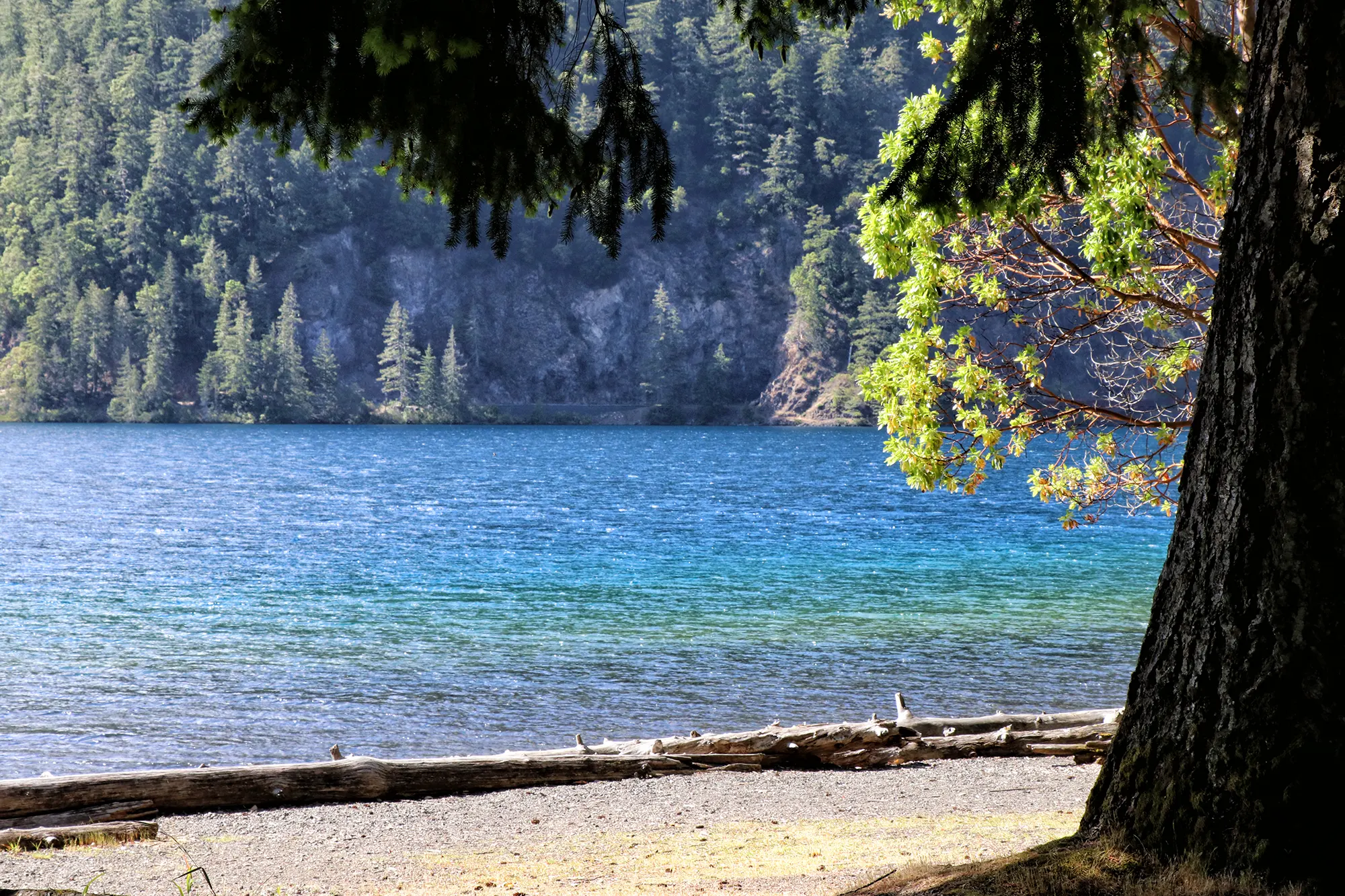 Lake Crescent - Olympic National Park, Verenigde Staten