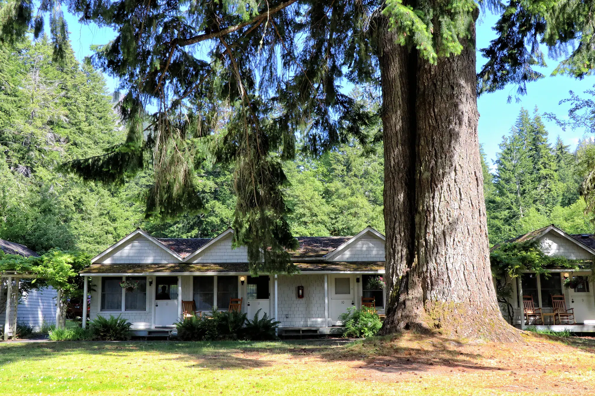 Lake Crescent Lodge - Olympic National Park, Verenigde Staten