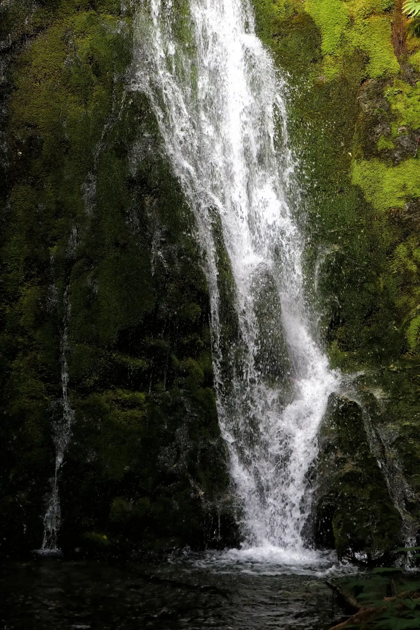 Madison Falls - Olympic National Park, Verenigde Staten