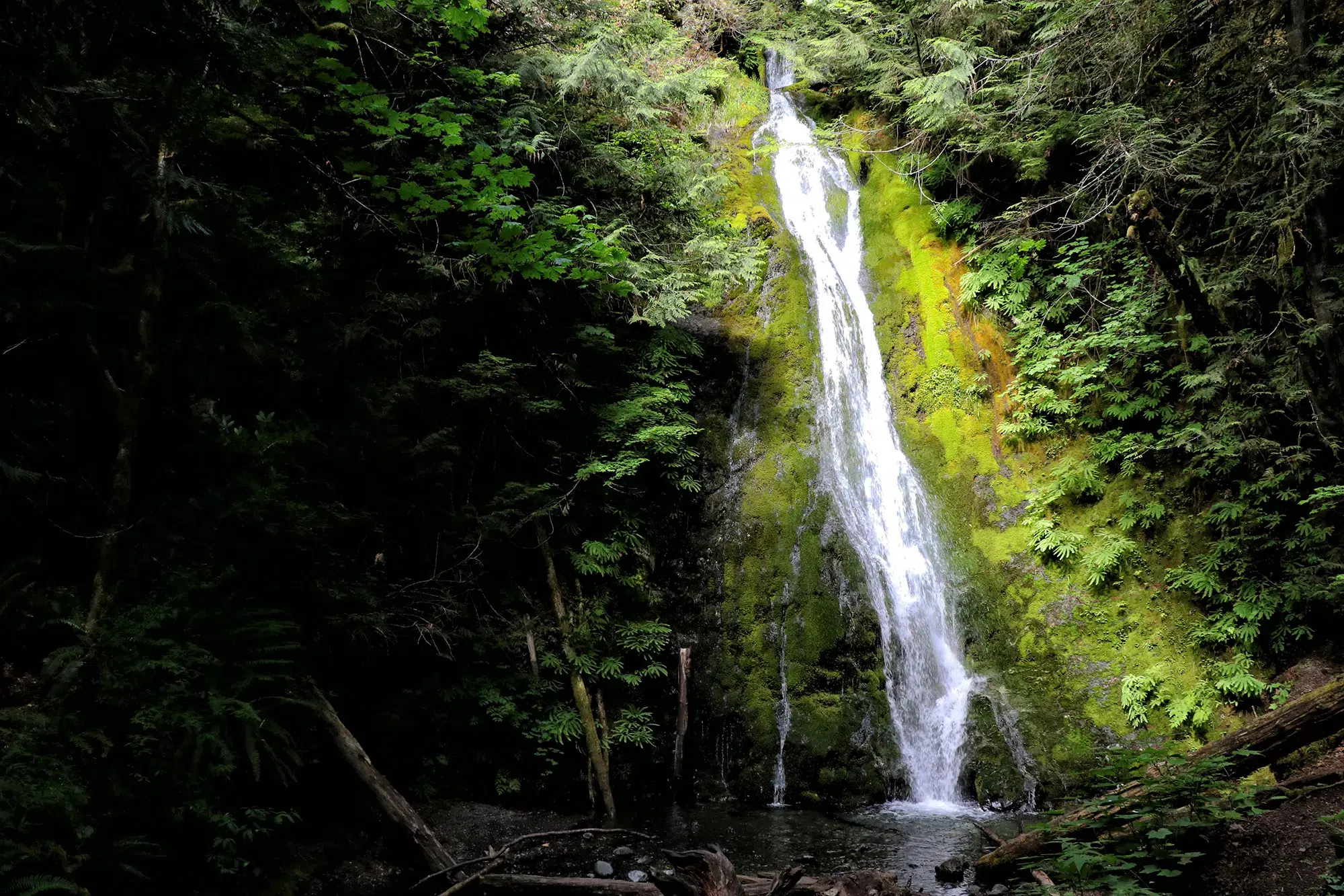 Madison Falls - Olympic National Park, Verenigde Staten