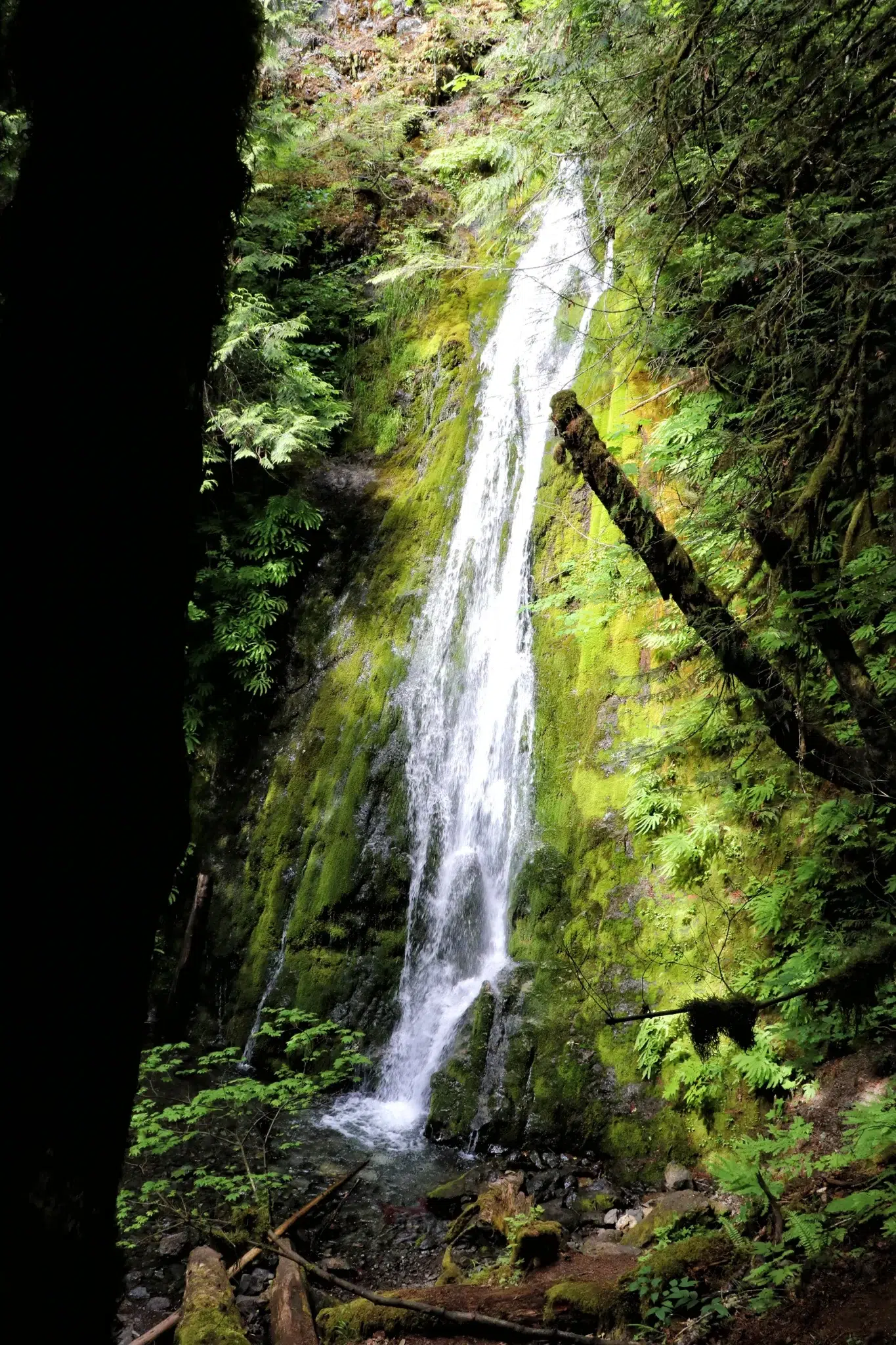 Madison Falls - Olympic National Park, Verenigde Staten