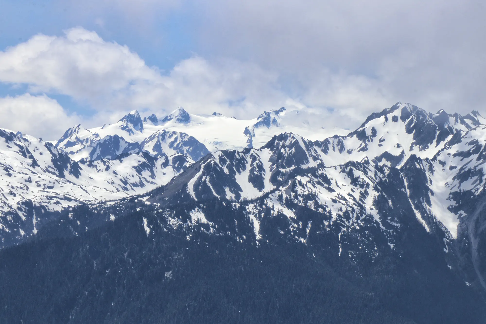 Mount Olympus - Olympic National Park, Verenigde Staten