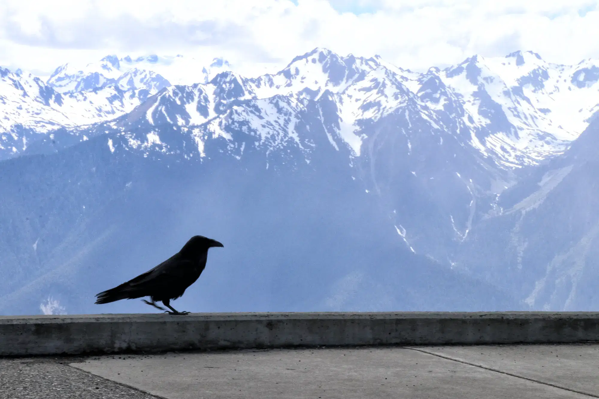 Mount Olympus - Olympic National Park, Verenigde Staten