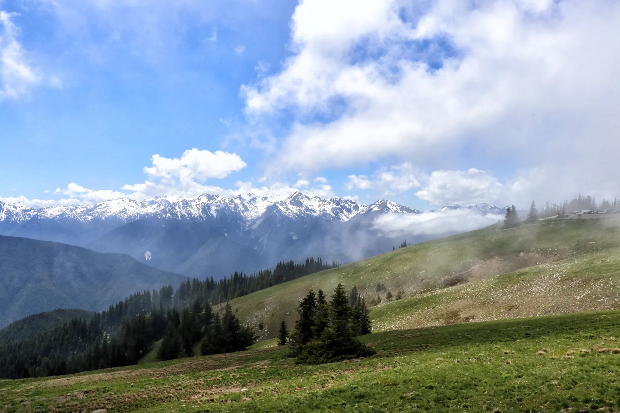 Mount Olympus - Olympic National Park, Verenigde Staten