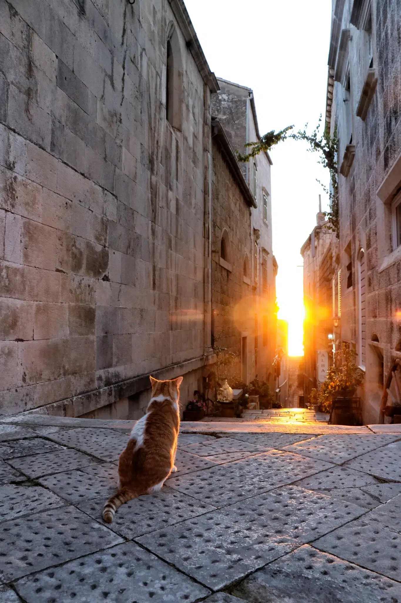 Korčula, Kroatië - Korčula -stad