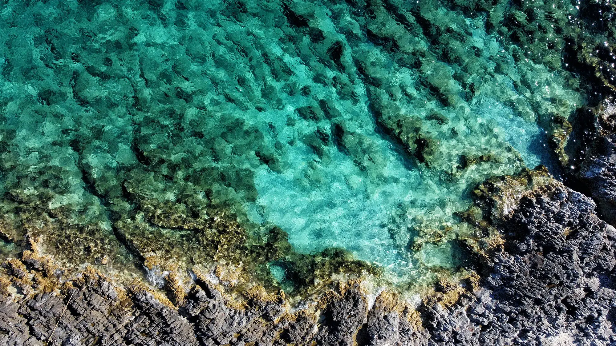 Korčula, Kroatië - Strand