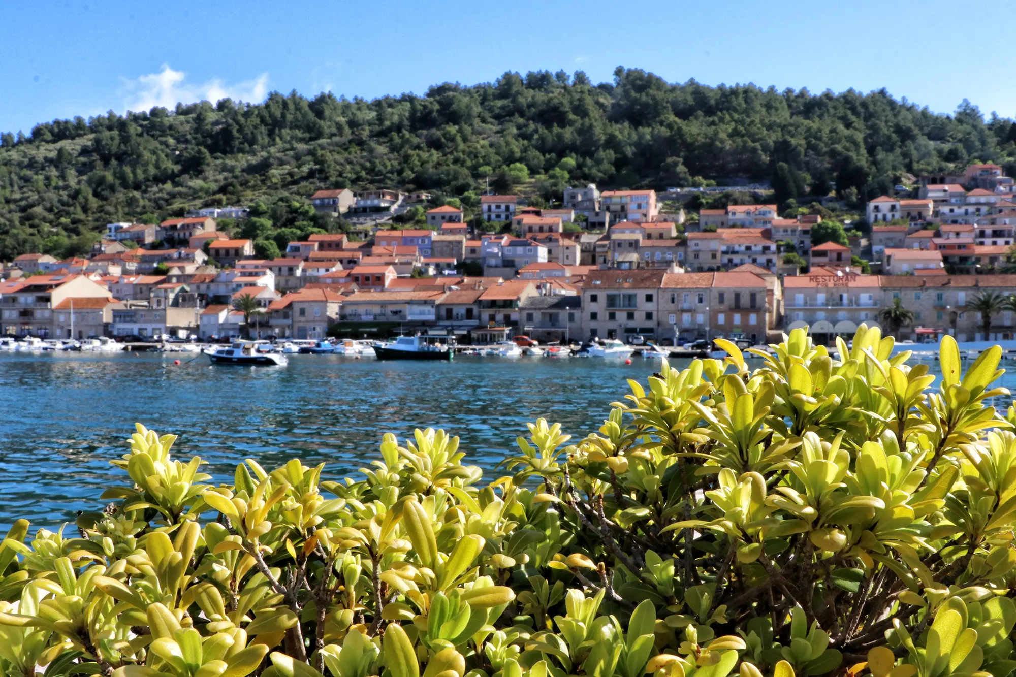 Korčula, Kroatië - Vela Luka