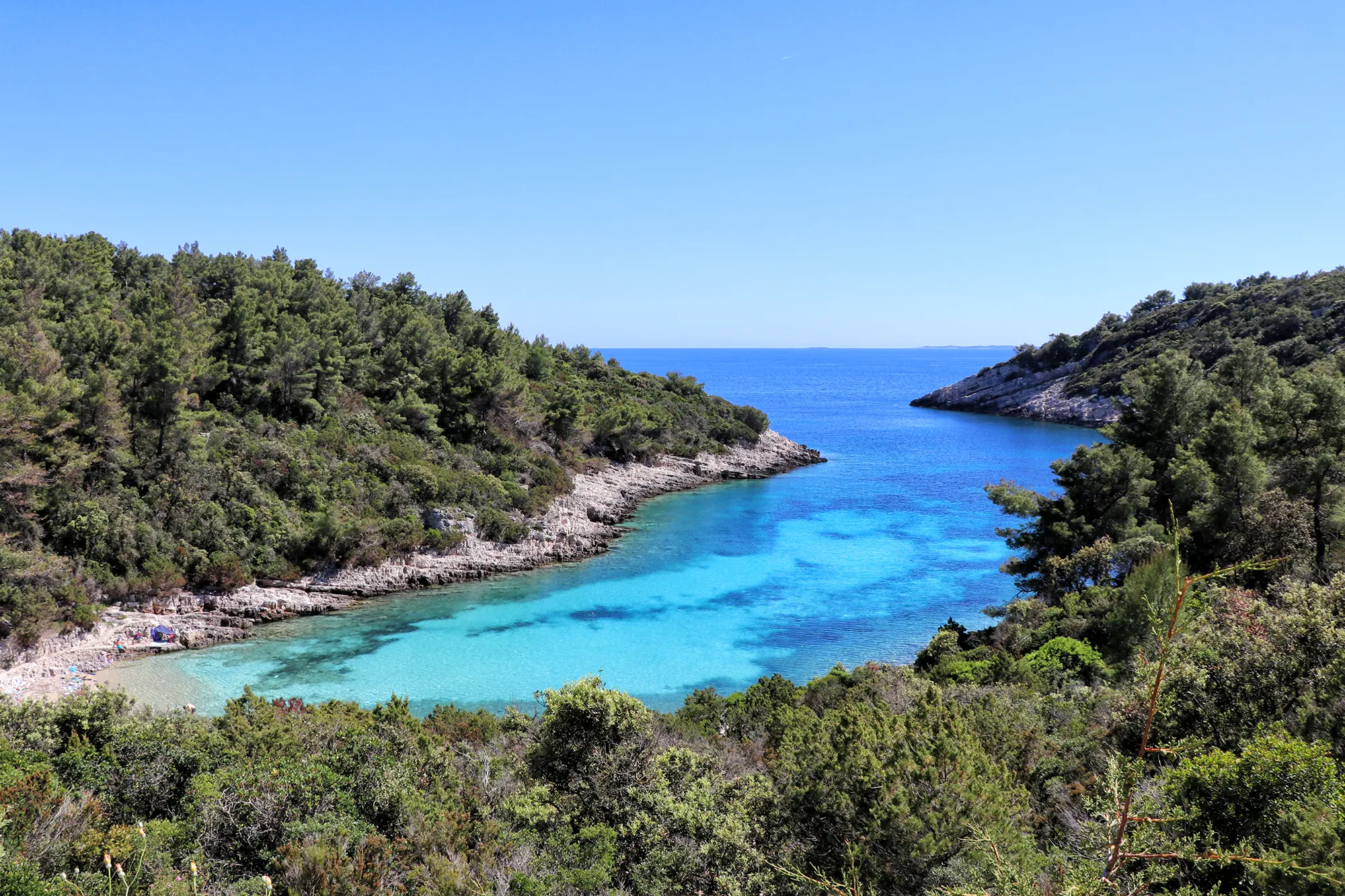 Korčula, Kroatië - Zitna Zavalatica